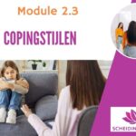 Copingstijlen
