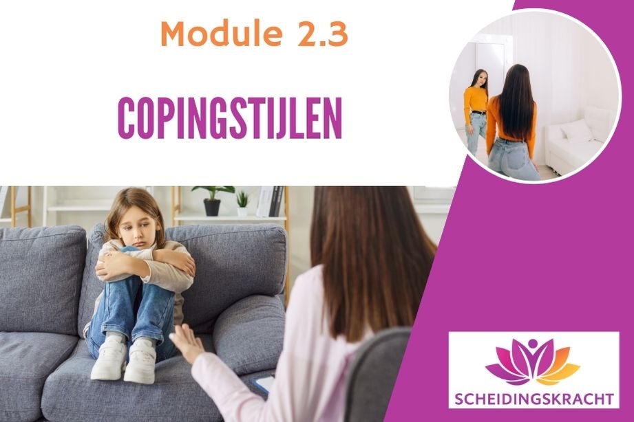 Copingstijlen