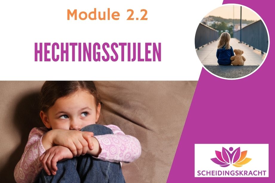 Hechtingsstijlen
